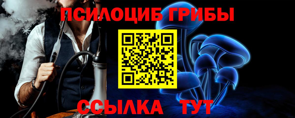 Псилоцибиновые грибы прущие грибы Железногорск